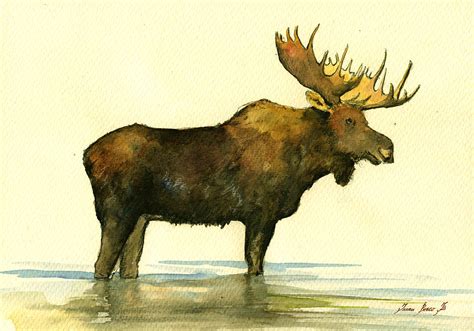 Moose watercolor painting. Painting by Juan Bosco