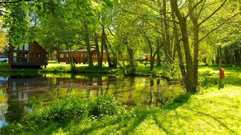 Whitemead Forest Park in the Forest of Dean Forest Of Dean, Park Restaurant, Uk Holidays, Forest ...