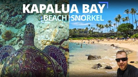 Our choice for the BEST beach in Maui! | KAPALUA BAY | Beach & Snorkel | Kapalua Beach ...