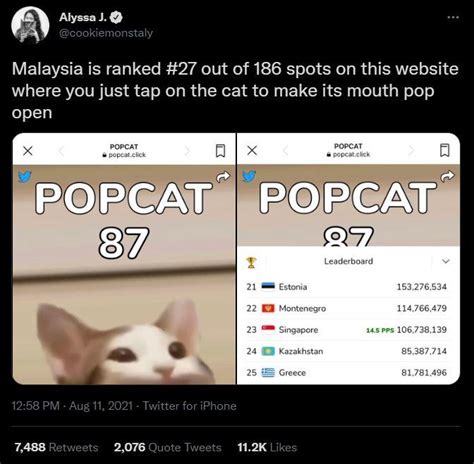 Pop Cat Meme Template / Popcat Meme Explore Tumblr Posts And Blogs ...