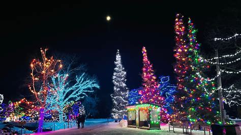 Zoo lights - Assiniboine zoo lights - festival of lights in Canada ...