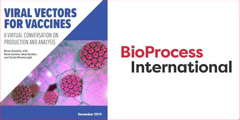 Viral vectors for vaccines: A conversation on production and analysis