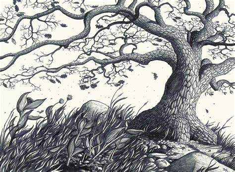 Oak Tree in the Wind | Oak tree drawings, Oak tree tattoo, Tree drawing