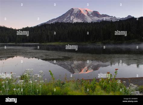 Mount Rainier at sunrise Stock Photo - Alamy