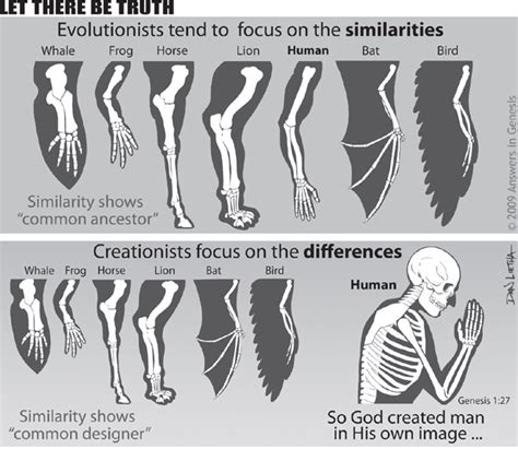 Vestigial Organs—Evidence for Evolution? | Evolution, Revelation bible ...