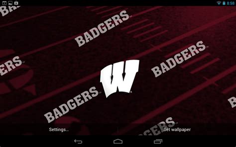 Free download Wisconsin Badger iPhone Wallpaper [640x960] for your Desktop, Mobile & Tablet ...