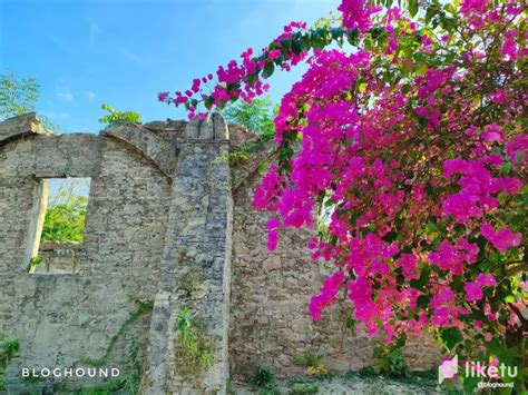 The Timeless Tapestry of Pindangan Ruins: A Blend of Stone, History, and Blooms — Hive