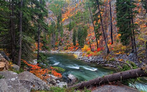 Slope, trees, rocks, river | Autumn forest, Nature, Nature images