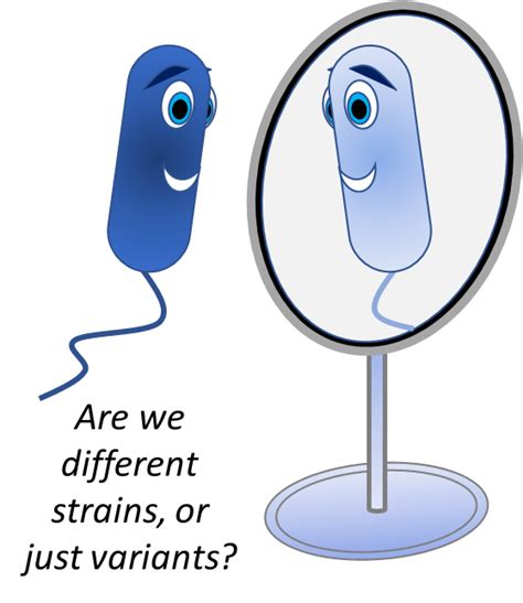 What is a strain in microbiology and why does it matter? - International Scientific Association ...