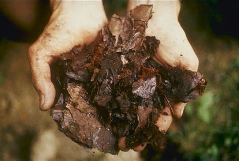 Hot Composting - How to Make Compost in Less Time