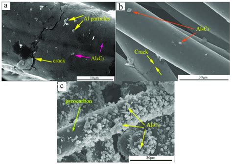 Morphology of pyrolytic carbon of carbon fibers covered with Al ...