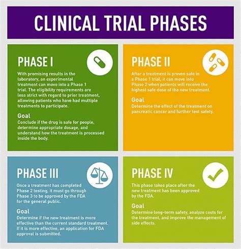 Phases Of Clinical Trials Chart