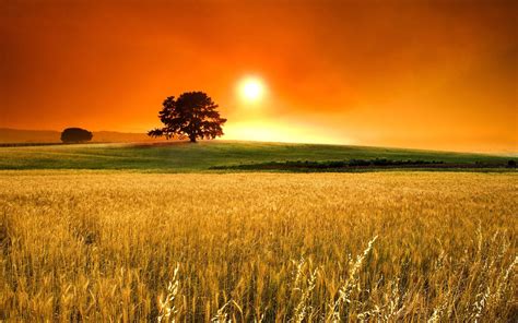 Amazing HD Sunny Landscape Wallpapers - Top Free Amazing HD Sunny Landscape Backgrounds ...