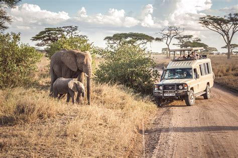 Serengeti National Park | Tanzania Wildlife Safari Destination