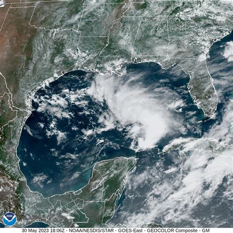 Tropics watch: NHC tracking system in Gulf of Mexico, 5 tropical waves