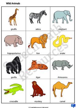 Wild Animals - Flashcards by SpeechPathResources | TpT