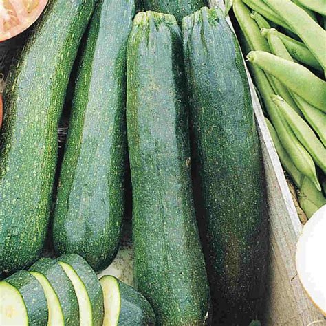 Organic Zucchini Seeds, Black Beauty – McKenzie Seeds