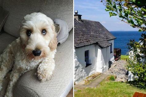 15 QUIRKIEST Dog Friendly Airbnbs Ireland Has To Offer