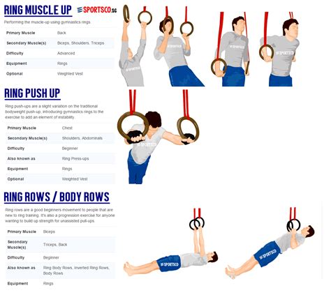 Gymnastic Ring Workouts For Beginners | EOUA Blog