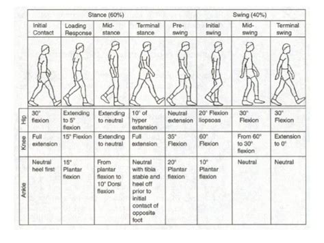 a chart showing the steps to walking in different directions, with ...