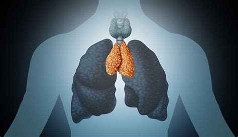 Difference Between Thymoma & Thymic Carcinoma | Moffitt