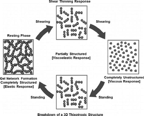 The thixotropy behavior and shear thinning response | Download Scientific Diagram