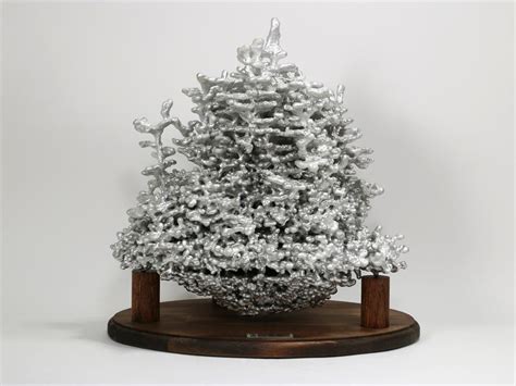 Front Picture - Aluminum Fire Ant Colony Cast #062 | Anthill Art