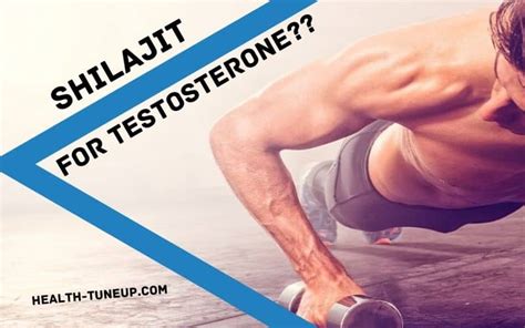 Does Shilajit Increase Testosterone Level? [Evidence-Based]