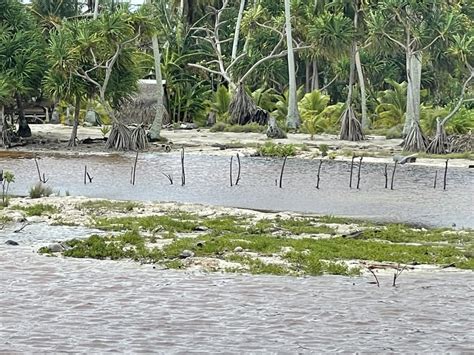 Remote serenity – the Tabuaeran Atoll – The Fun of Travel