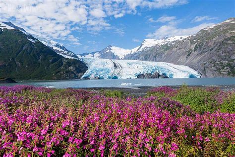 Alaska Photography Tours & Workshops – Active Photo Tours