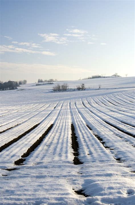 Wintry landscape stock photo. Image of country, farm - 12281648