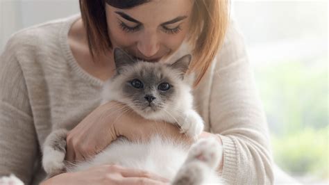 Why You Should Buy A Cat In Another Lockdown | Glamour UK