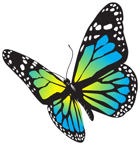 Large Butterfly PNG Clip Art Image png download - 7178*7422 - Free Transparent Butterfly png ...