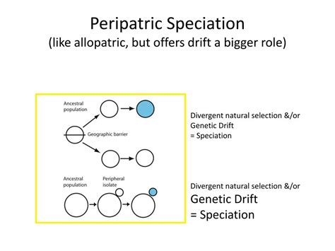 PPT - Geography of Speciation PowerPoint Presentation, free download - ID:2083790