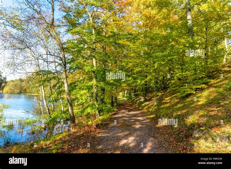 Autumn park, scenery with path and trees Stock Photo - Alamy