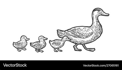 Duck with ducklings sketch Royalty Free Vector Image