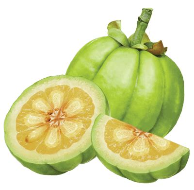 garcinia-cambogia-side-effects-fruit - Health Facts Journal