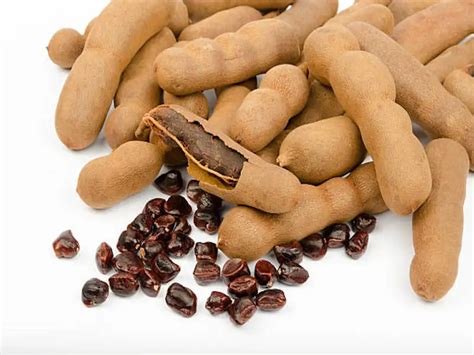 Tamarind Seed For Sale At Good Price Tamarind Seeds Ready For Export - Buy Whole Spice Powder ...