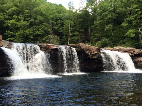 a large waterfall in the middle of a forest