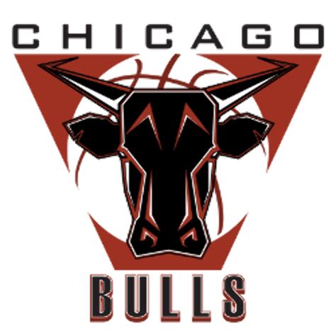 Chicago Bulls New Logo
