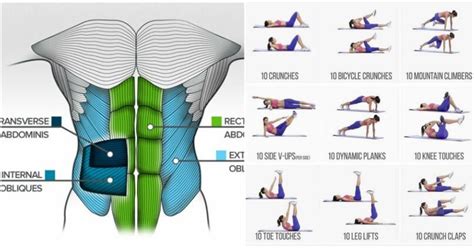 Explosive Abs- 30 Best Muscle Mass Building Exercises - GymGuider.com