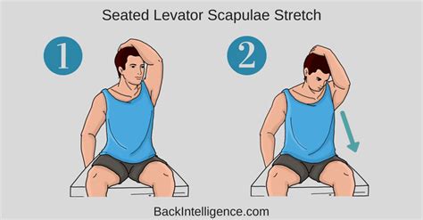 Best Ergonomic Neck and Shoulder Stretches to do while Working from Home - SPD