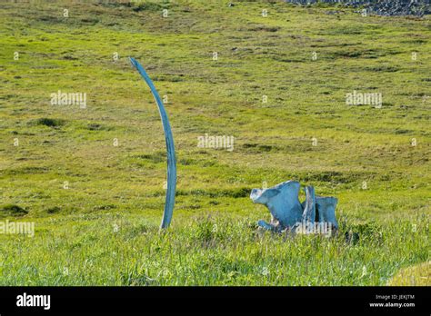 Whale Bone Alley, Ittygran Island, Chukotka, Russia Stock Photo - Alamy