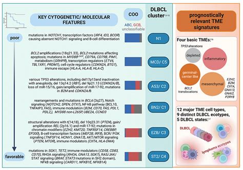 Molecular Subclassifications of… | College of American Pathologists