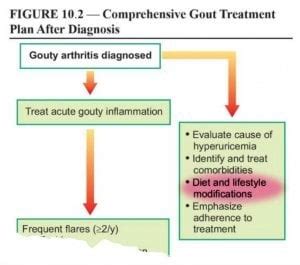 Gout Diet is part of Management Plan | GoutPal Gout Help