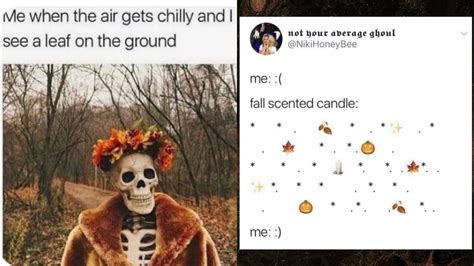 Viral News | Beyond Pumpkin Spice Lattes & Leaves Changing Colours, Fall Season 2023 Memes ...