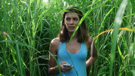 Genuine Horror Is Beyond Reach | In The Tall Grass Film Review - HeadStuff