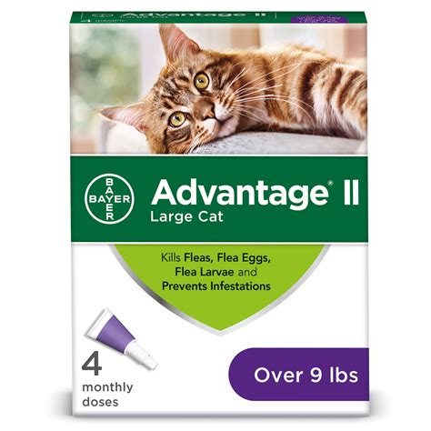 Advantage II Flea Treatment for Large Cats, 4 Monthly Treatments ...