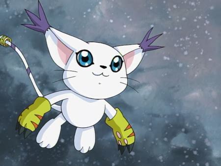 Tailmon - Wikimon - The #1 Digimon wiki