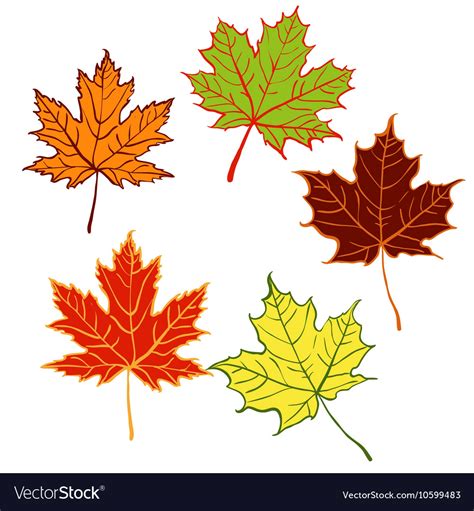 Cartoon autumn leaf set Royalty Free Vector Image